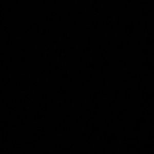 Meet your Posher, Storm